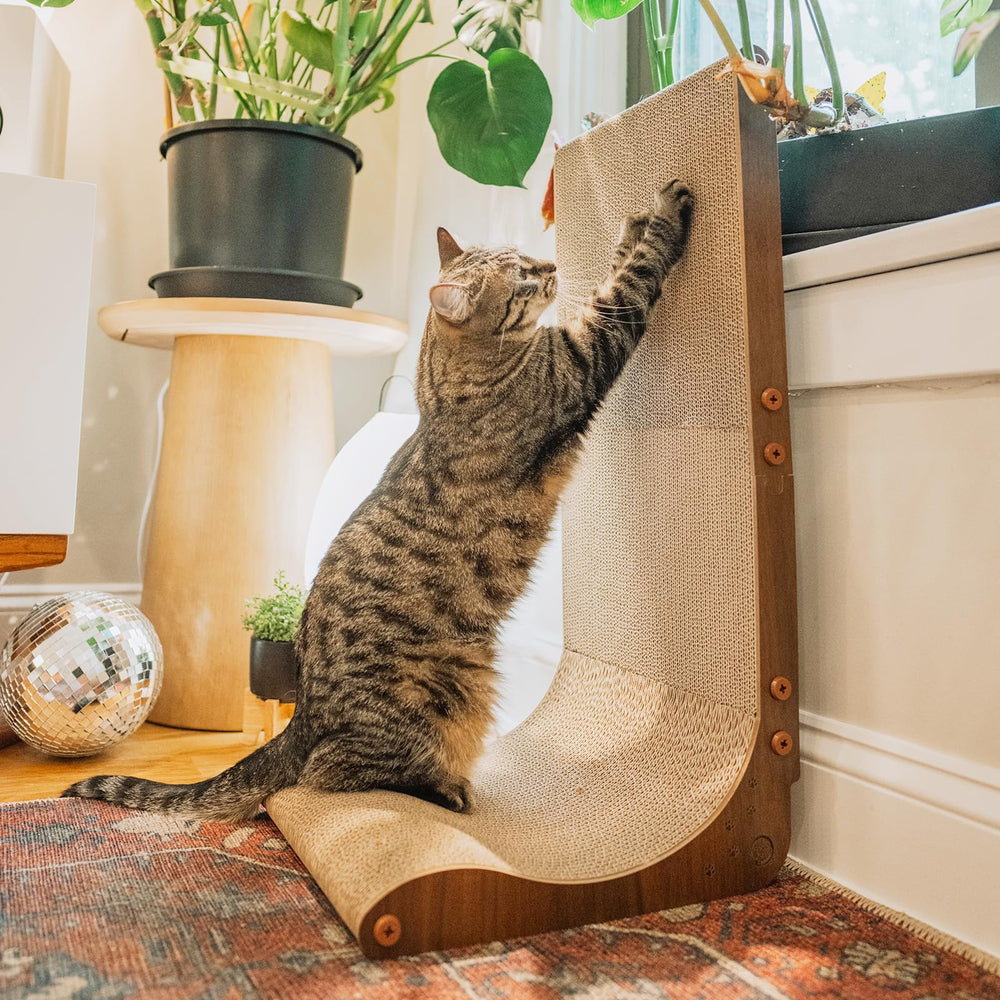Necoichi dark cherry wall scratcher with curved lounge for claw care and furniture protection.
