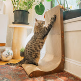 Necoichi dark cherry wall scratcher with curved lounge for claw care and furniture protection.