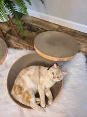 Necoichi cat scratcher bowl regular oak reversible surface extended pad life