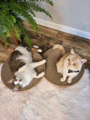 Necoichi cat scratcher bowl regular oak side panel durable recycled material