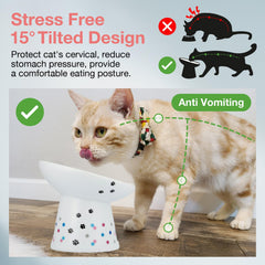 Necoichi raised cat bowl non-slip ring keeps bowls steady for mess-free feeding.