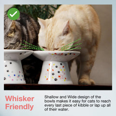 NECOICHI raised cat bowl with non-slip silicone ring prevents spills during energetic mealtimes.
