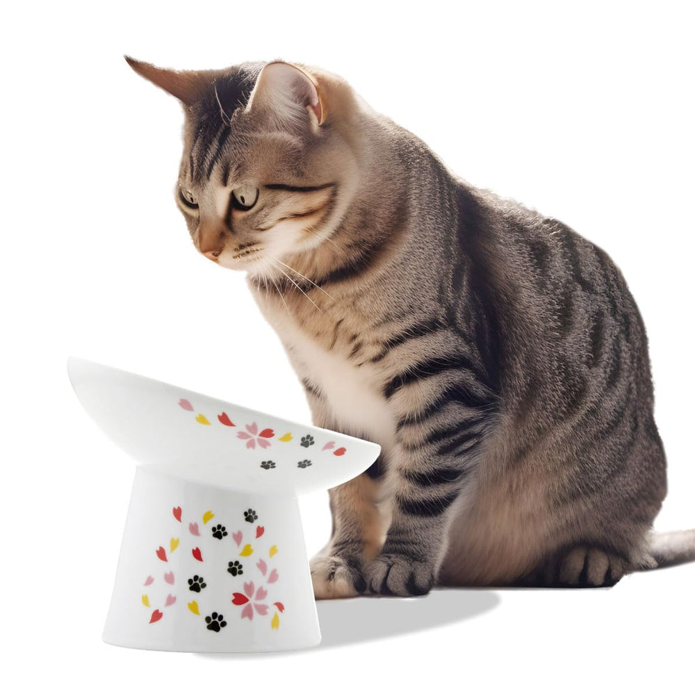 NECOICHI raised bowl tilted 15deg improves whisker comfort during meals.