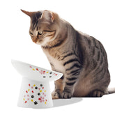 NECOICHI raised bowl tilted 15deg improves whisker comfort during meals.