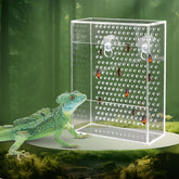 Neeenn bearded dragon feeder box inside tank shows secure insect access and clear viewing.
