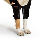 NeoAlly dog elbow brace pair view highlights joint support and comfort.