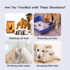 Neobay cat door strap installation shows quick peel-and-stick for renters