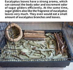 NEOUZA Dried eucalyptus leaves packaging with 200g leaves and 30g branch