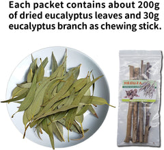 NEOUZA Sugar Glider chew treats with eucalyptus branch for gnawing