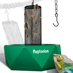 NEPTONION Hookable Chameleon Feeding Bowl assembly shows easy setup for live prey feeding.