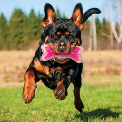 Nerf Dog bacon SuperScent bone solid core closeup enhances chewing durability