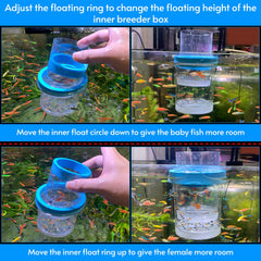 NestBasics baby fish feeder tubes included for feeding and cleaning