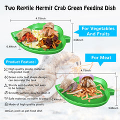 NestBasics green leaf meat feeding dish helps organize meals and reduce competition.
