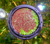 NestBasics magnetic feeding ring setup shows quick installation for tidy feeding.