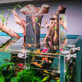 NestBasics negative pressure tank front view with clear PC body for easy fish observation.
