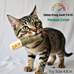 Nestpark Cat Doobie interactive playtime close-up highlighting engaging design