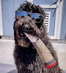 Nestpark Doggy Doobie birthday-gift-fun appeals to dog lovers.