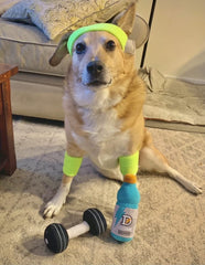 Nestpark Doggyade birthday party scene for a cute celebration.