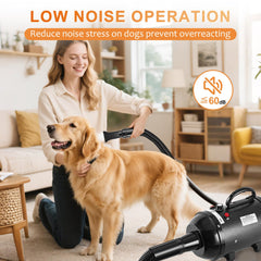 NESTROAD dog dryer with four nozzles enabling versatile styling for all breeds