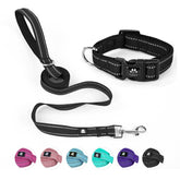 NESTROAD neoprene-padded collar—soft comfort against the neck for daily walks.
