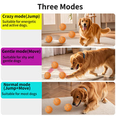 NETRCO ball with motion sensor activating independent canine entertainment.