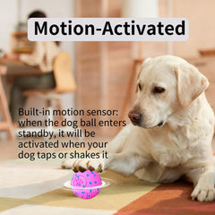 NETRCO Smart Interactive Dog Ball modes display enables tailored play for different dog energies.