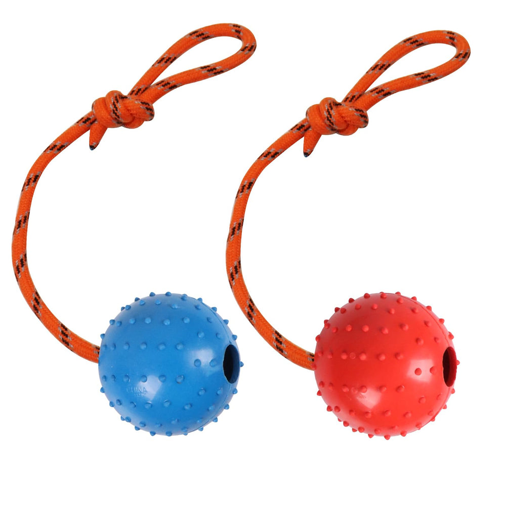 Nevperish dog ball on rope blue for fetch and training sessions