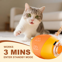 New Fi cat toy ball elliptical movement mimics prey to stimulate activity