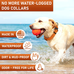 NexaPaw Biothane collar features waterproof material for mud and water play.