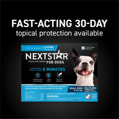 NEXTSTAR 30-day coverage illustration emphasizes monthly protection against fleas and ticks.