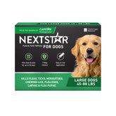 NEXTSTAR flea-tick prevention bottle ready for quick protection on dogs