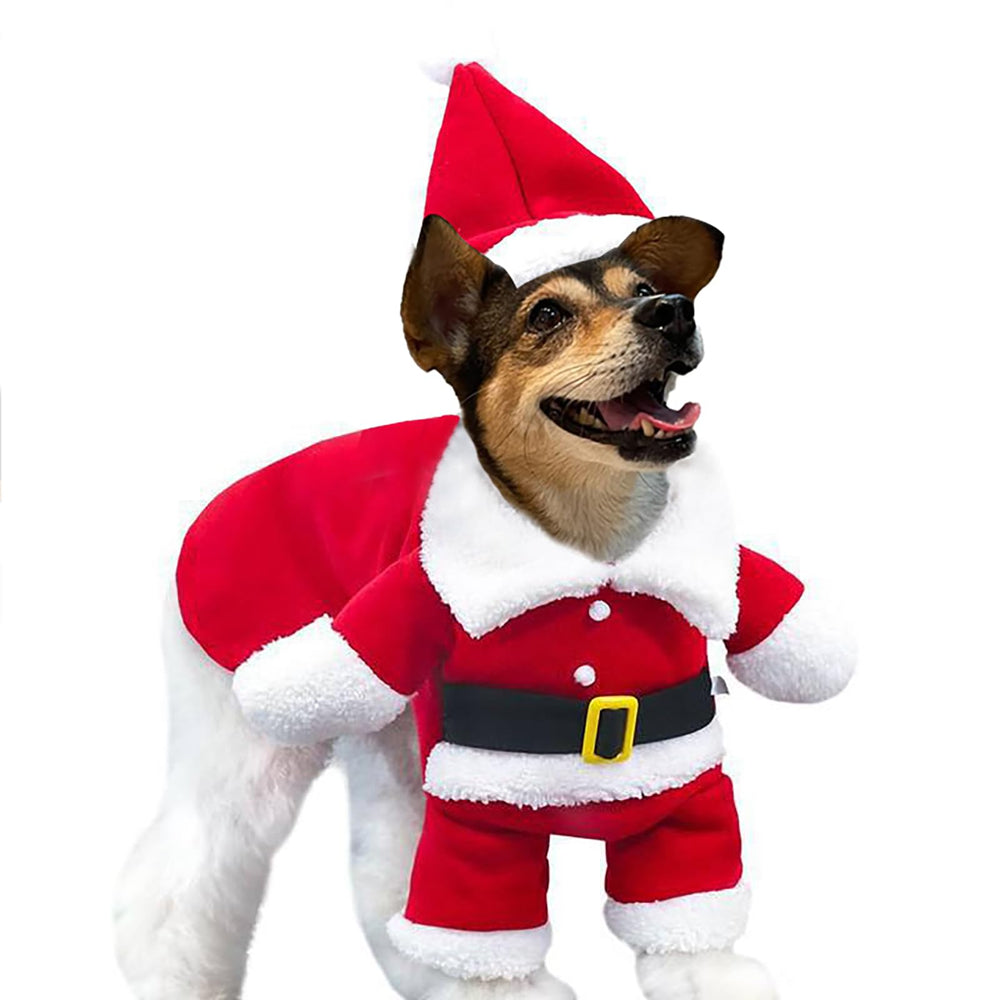 nezababycos dog Santa costume red front view for festive holiday photos.