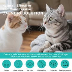 NHMFMLZW cat pheromones refill 48ml highlighting long-lasting calm