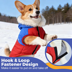 Nibnozy dog coat hood detail emphasizes head protection against wind and rain.
