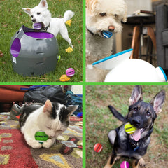 NICERINC PET X-Small tennis ball, durable interior withstands frequent play