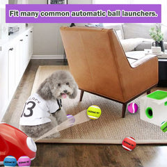NICERINC PET X-Small tennis ball, nonabrasive felt gentle on teeth