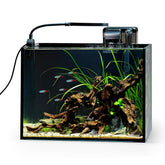 NICREW 2.5-gallon nano nature aquarium kit desktop tank rimless glass for crystal-clear viewing