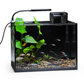 NICREW 2.5-Gallon Nano Nature Aquarium Kit front view—compact desktop tank for small spaces