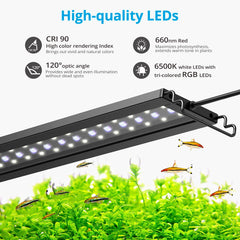 NICREW C10 full spectrum light highlighting 6500K white and RGB LEDs