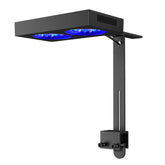 NICREW NavaReef 135 LED panel closeup shows 440-480nm spectrum boosting coral fluorescence.