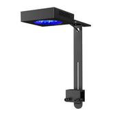 NICREW NavaReef 65W LED panel close-up showing focused spectrum for vibrant corals
