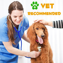 NIFEISHI Allergy Relief Drops for Dogs dropper provides gentle dosing for daily immune support
