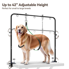 Niffgaff heavy-duty steel frame supports a large dog during grooming.