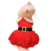 Nigua dog Christmas dress front view, festive outfit for small dogs
