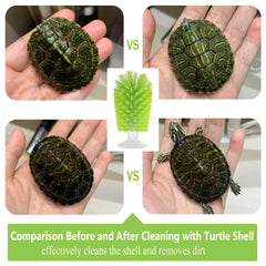 Nilioerup turtle-brush-suction-mount attaches to tank wall for hands-free cleaning