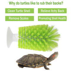 Nilioerup turtle-shell-clean-brush dense-bristles remove mud from shells