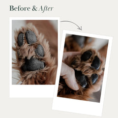 Nina Woof application on paw demonstrates easy, gentle moisturization for sensitive dog skin
