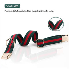 NISIYE premium dog collar metal buckle demonstrates secure fit and durability.