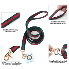 NISIYE luxury fashion dog leash showcases stylish, eye-catching design for outings.