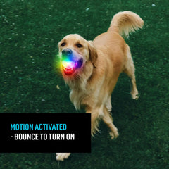 Nite Ize GlowStreak ball shows color-changing LEDs for easy night visibility during play